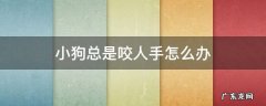 小狗老喜欢咬手怎么办 小狗总是咬人手怎么办