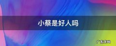 小蔡是好人吗 都挺好保姆小蔡是好人吗