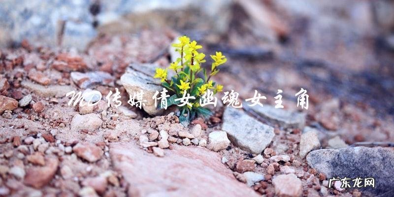 MD传媒倩女幽魂女主角