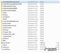 c：windowsmediamicrosofthyliteresources是什么？