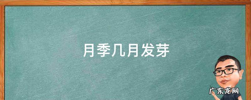 月季几月发芽 月季几月发芽长叶