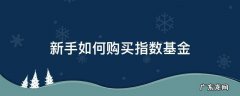 新手如何购买指数基金c类 新手如何购买指数基金