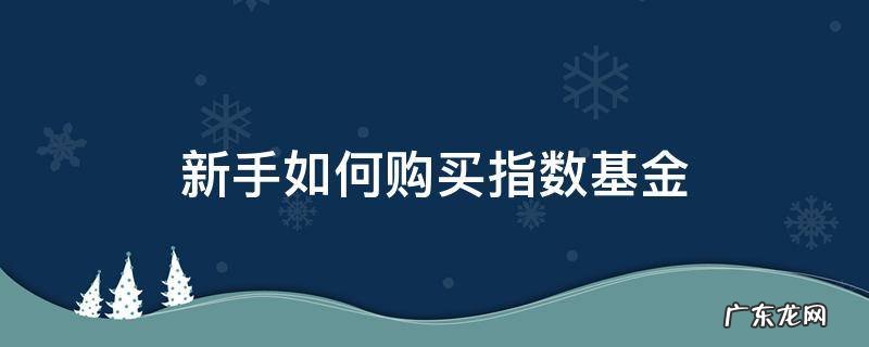 新手如何购买指数基金c类 新手如何购买指数基金
