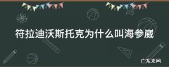符拉迪沃斯托克为什么叫海参崴 符拉迪沃斯托克为什么叫海参崴图片
