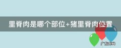 里脊肉是哪个部位 猪小里脊肉是哪个部位