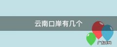 云南最大口岸是哪个 云南口岸有几个