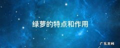 绿萝的特点和作用作文300字 绿萝的特点和作用