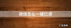 微信怎么一键已读所有消息 微信怎么一键已读