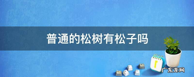 什么样的松树有松子 普通的松树有松子吗