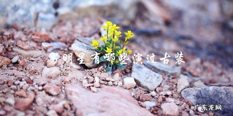 这些男明星演过古装,你猜猜谁最惊艳?