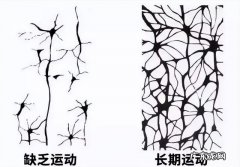 怎么输入不认识的字