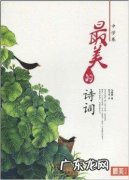诗双的寓意