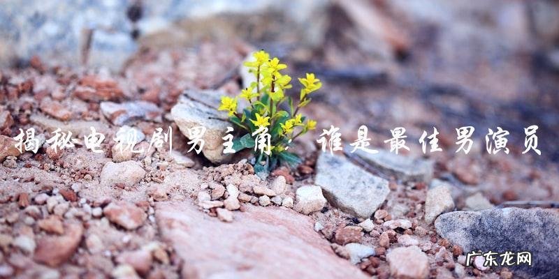 谁是这个电视剧的男主角?