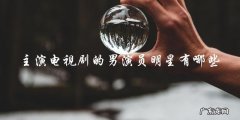 谁是这个电视剧的男主角？
