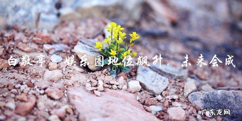 白敬亭:娱乐圈地位飙升,未来会成为顶级巨星?