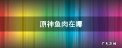 原神鱼肉在哪采集 原神鱼肉在哪