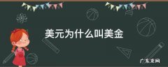 美元为什么叫美金 美元就是美金吗?