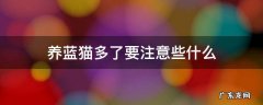 养蓝猫要注意哪些问题 养蓝猫多了要注意些什么