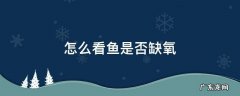 怎么看鱼是否缺氧 如何观察鱼是否缺氧