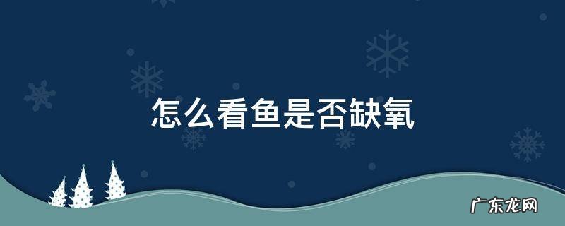 怎么看鱼是否缺氧 如何观察鱼是否缺氧
