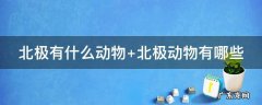 南极北极有什么动物 北极有什么动物