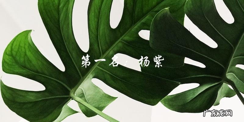 95后小花旦排名,谁能夺得桂冠?