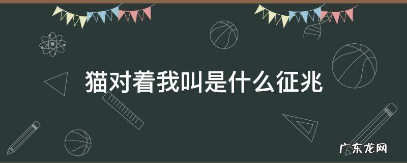 猫对着我叫是什么征兆 猫一直对着我叫预兆