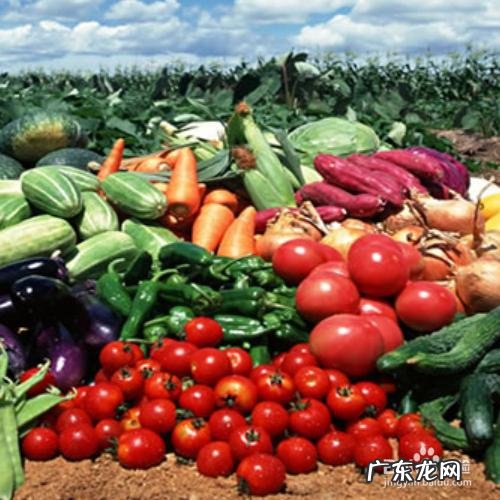 蔬菜怎么清洗才安全