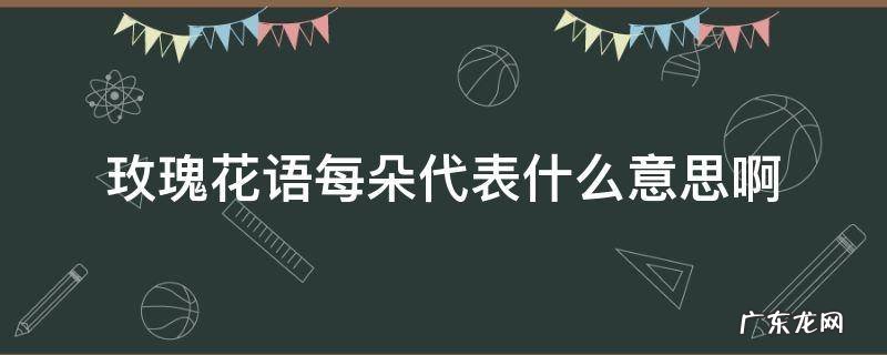 玫瑰花语每朵代表什么意思啊 玫瑰花语是啥意思