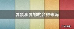 属鼠跟属蛇的合得来吗 属鼠和属蛇的合得来吗