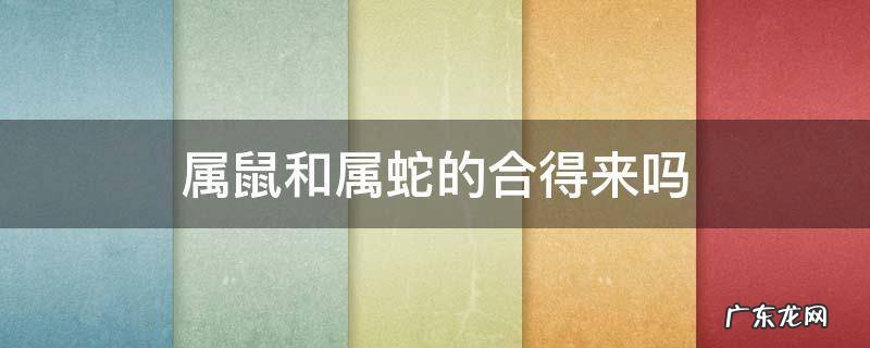 属鼠跟属蛇的合得来吗 属鼠和属蛇的合得来吗