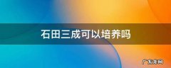 石田三成可以培养吗 石田三成值得培养吗