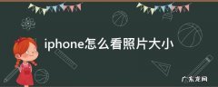 iphone怎样看照片大小 iphone怎么看照片大小