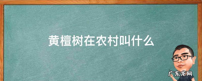 黄檀树在农村叫什么 黄檀树生长在什么地方