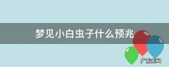 梦见好多小白虫子什么预兆 梦见小白虫子什么预兆