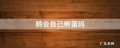 鹅会自己孵蛋吗 大鹅会自己孵蛋吗