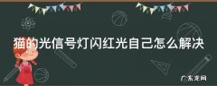 猫的光信号灯闪红光自己怎么解决
