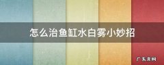 鱼缸水白雾怎么处理 怎么治鱼缸水白雾小妙招
