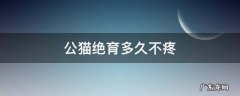 公猫绝育多久不疼 公猫绝育完多久不疼