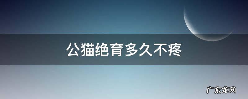 公猫绝育多久不疼 公猫绝育完多久不疼