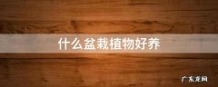 什么盆栽花卉好养 什么盆栽植物好养