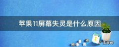 苹果11屏幕失灵是什么原因15系统 苹果11屏幕失灵是什么原因