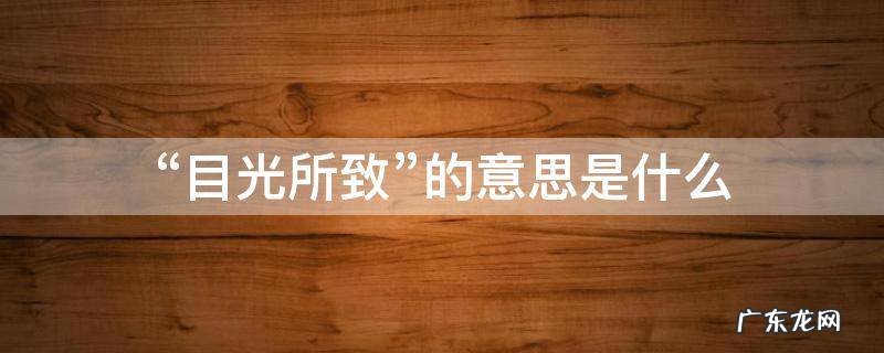 目光的意思解释 “目光所致”的意思是什么
