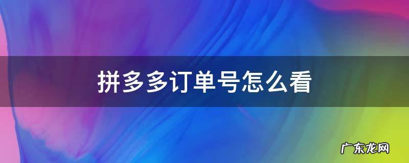 拼多多订单号怎么看 拼多多订单号怎么看不到
