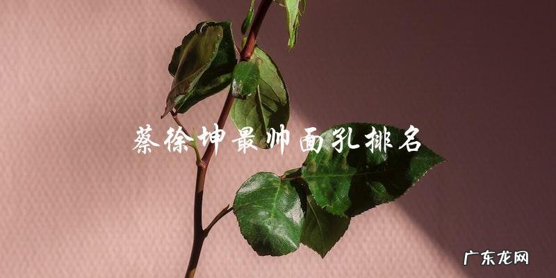 谁是蔡徐坤最帅的面孔?排名揭晓!