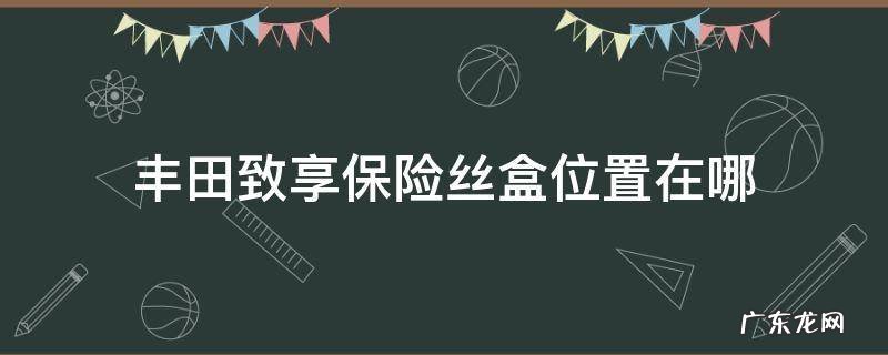 丰田致享保险丝盒位置在哪 18款致享保险丝盒位置图片