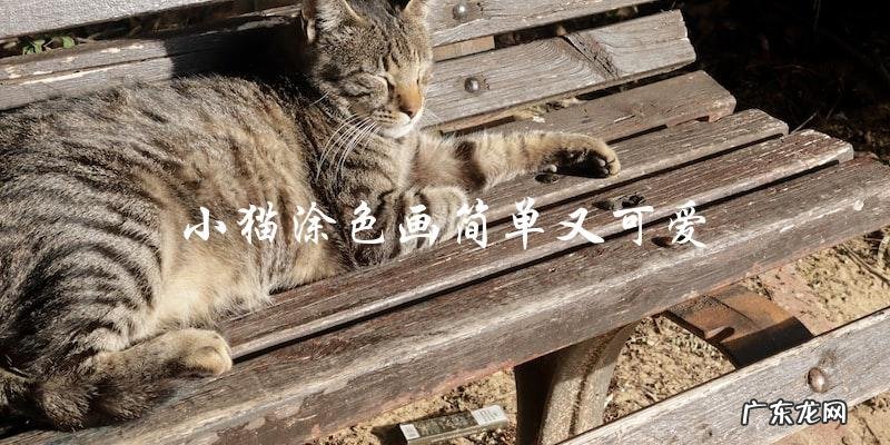 你想涂色一个简单又可爱的小猫吗？