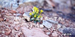 热水还是冷水？白灼虾下锅的正确方法大