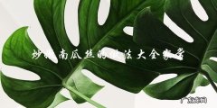 家常炒嫩南瓜丝，做法大全！