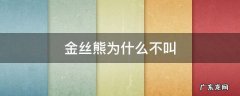 金丝熊为什么不叫 金丝熊为什么要叫